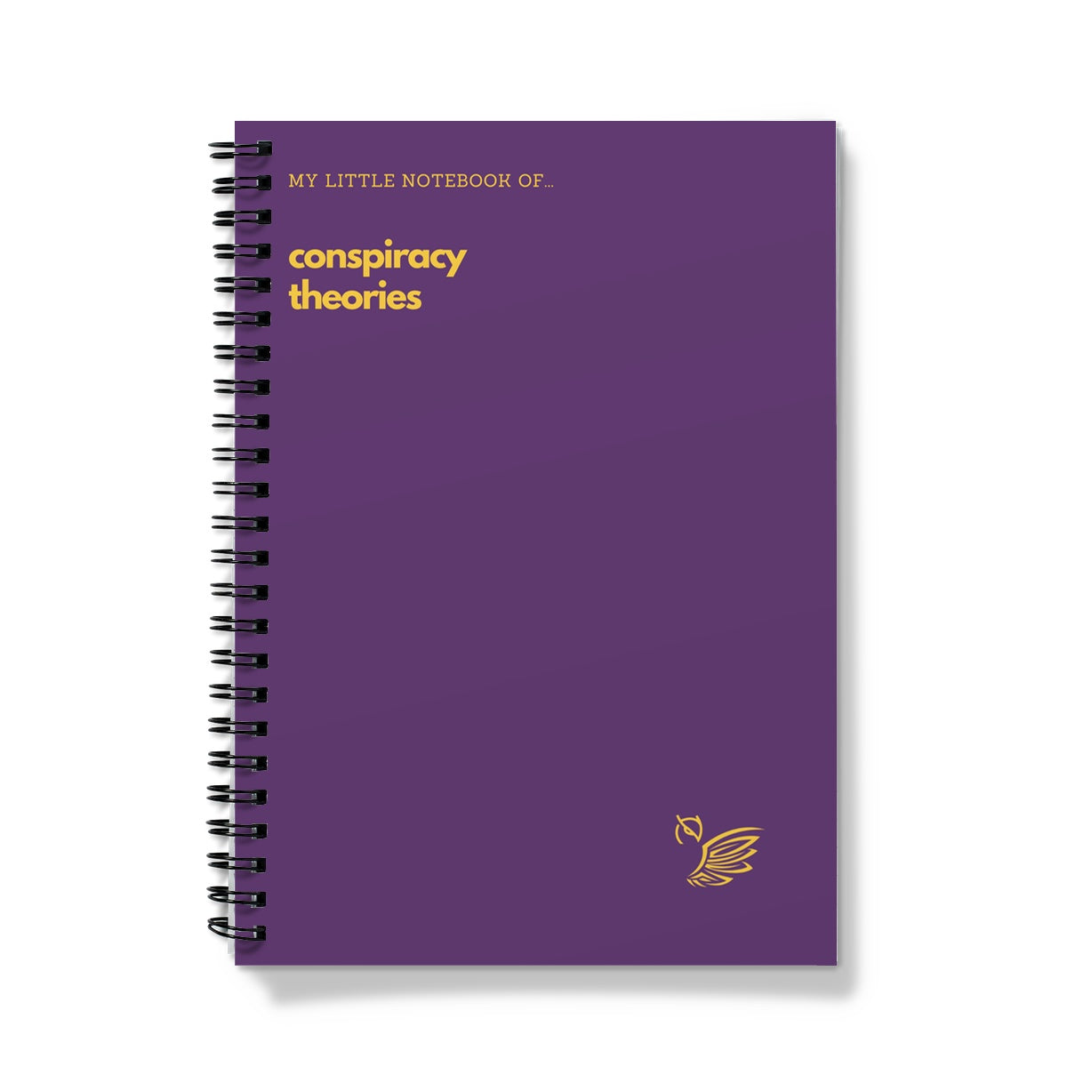 My Little Notebook Of... Conspiracy Theories Notebook