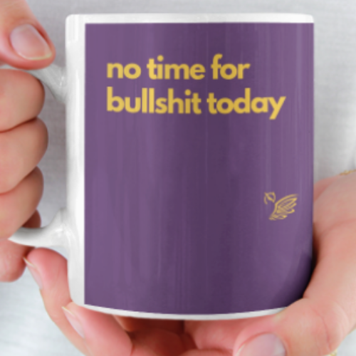 not time for bull shit today mug